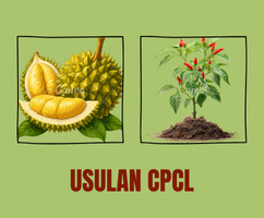 Usulan CPCL